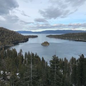 Meet your Posher, Ash